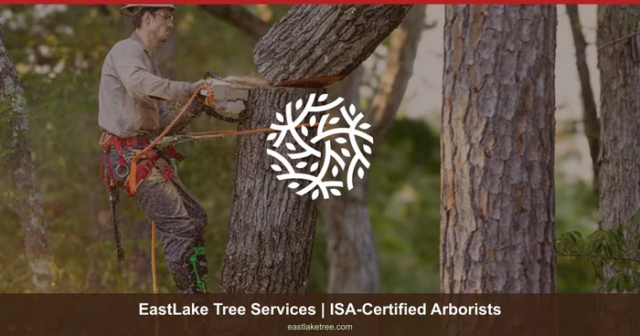 EastLake Tree Services logo